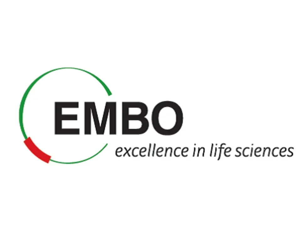 EMBO